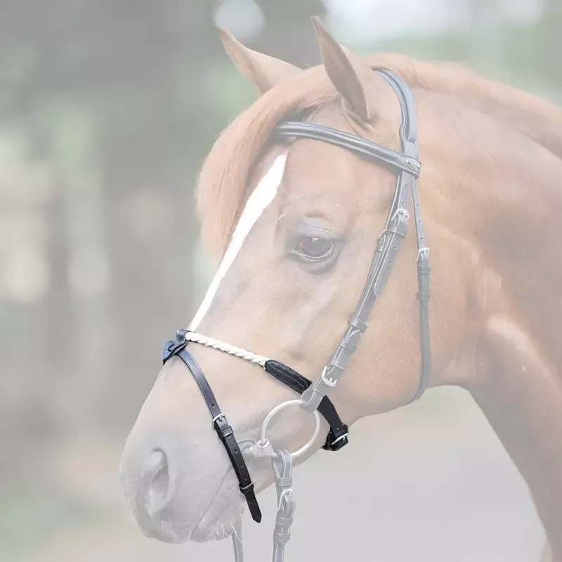 Muserolle combine cheval Kavalkade corde – Cob / Pur-sang – Noir Expdi Aujourdhui