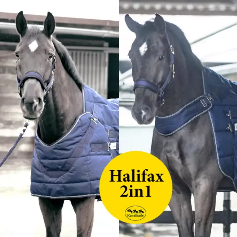 Acheter En Ligne Couverture Kavalkade Halifax 400g curie et marcheur 2-en-1 cheval – 145 cm – Marine