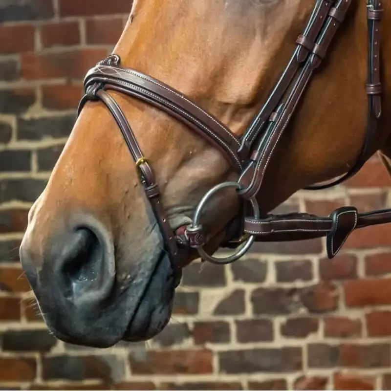 Promotion Muserolle combine Dy&rsquo;on D Collection cheval – Cob/pur-sang – Noisette