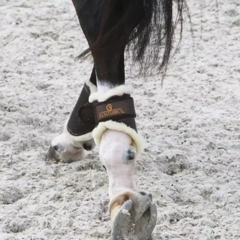 Expdition Rapide Protge-boulets cheval Turnout mouton Kentucky - Cheval - Marron