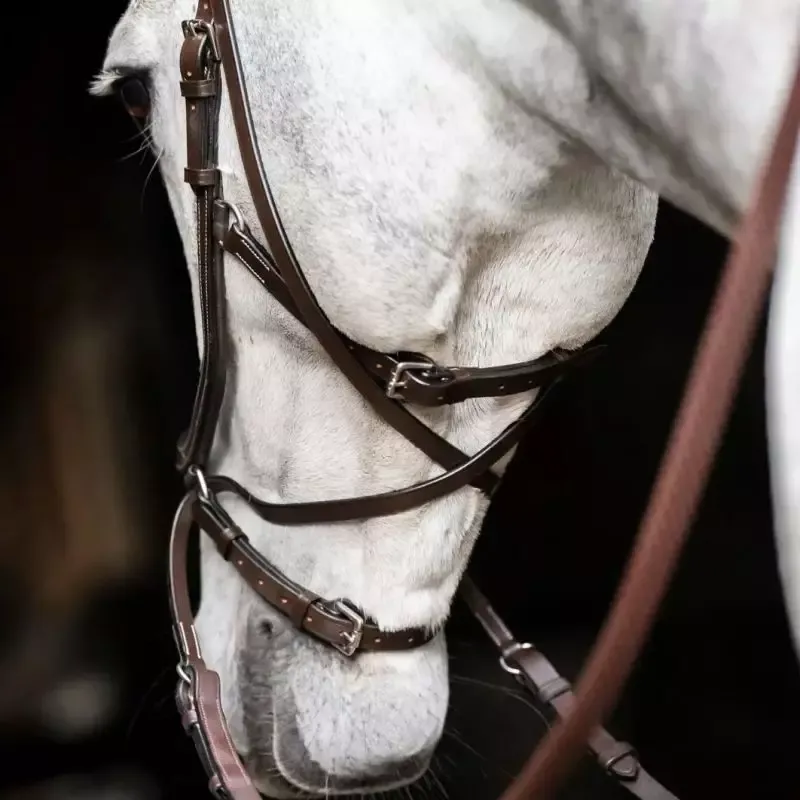 Bitless Horseware cheval Micklem – Cheval – Brun Meilleure Vente