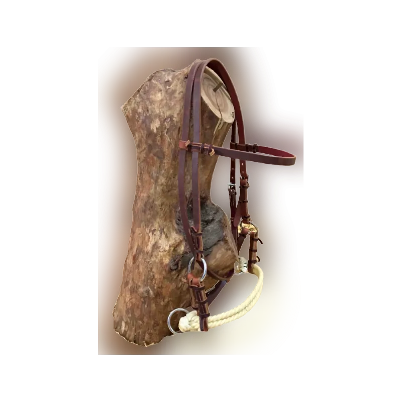 Side-pull cuir harness Commander Maintenant