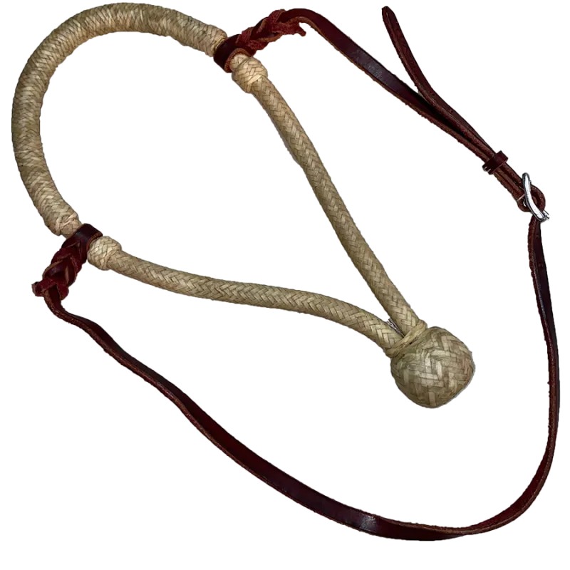 Acheter Direct Bosal rawhide et cuir latigo