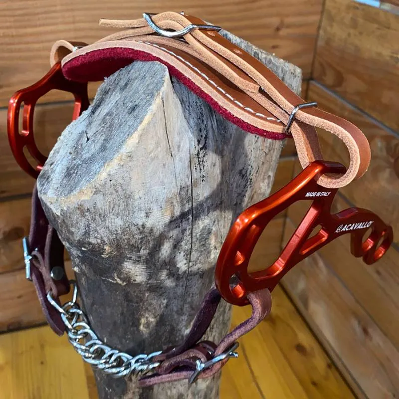 Hackamore 2B Western lger et robuste Dernier Modle