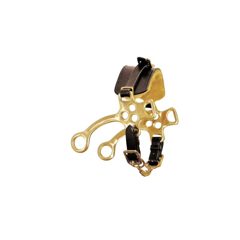 Vente Flash Hackamore laiton et muserolle cuir