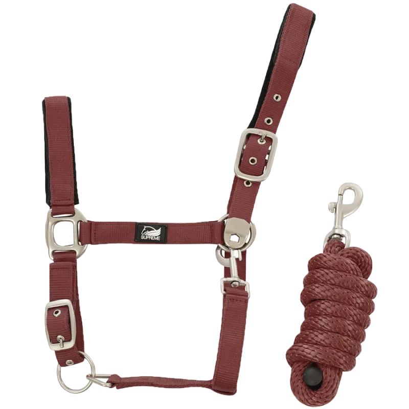 Achat Immdiat Licol et longe nylon poney, cob, full