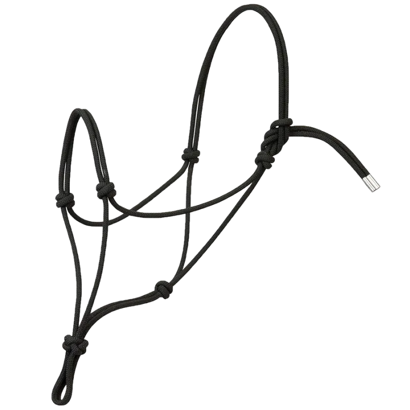 Acheter Direct Licol corde Silvertip n95 draft