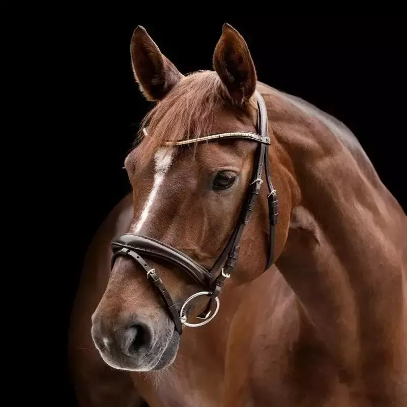 Bridon cheval cuir muserolle combine Clincher X-Line Waldhausen – Cheval – Noir Bon Plan