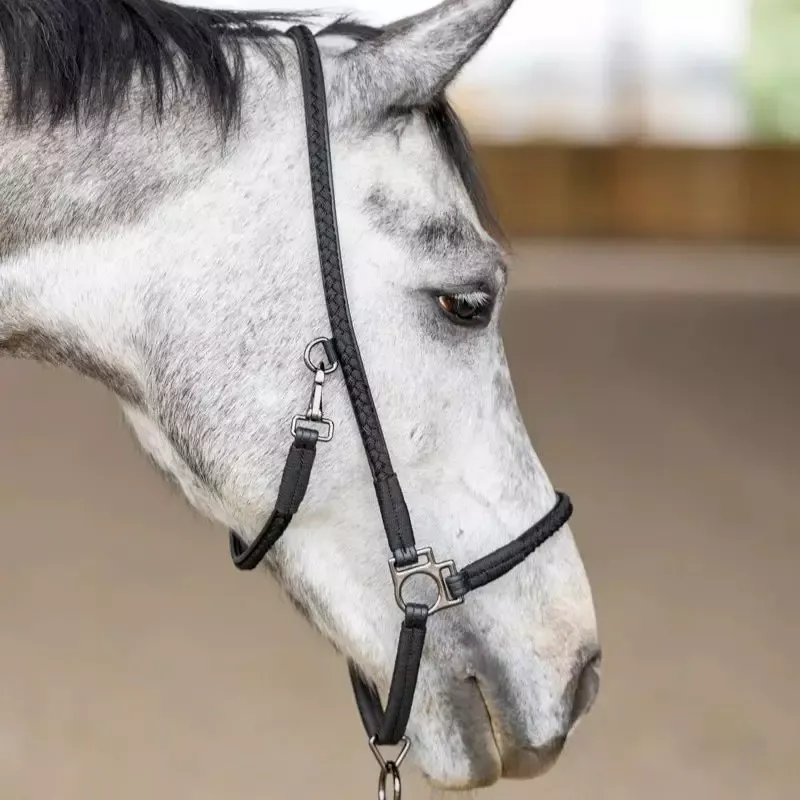 Offre Du Jour Licol cheval grooming Dialou Pro-Confort Horsewear – Poney – Noir