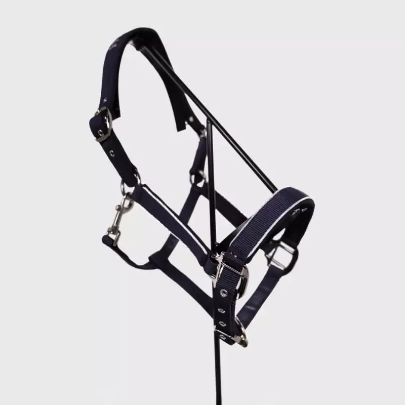 Vente Flash Licol et longe cheval Bamara Harcour – Poney – Vert paon