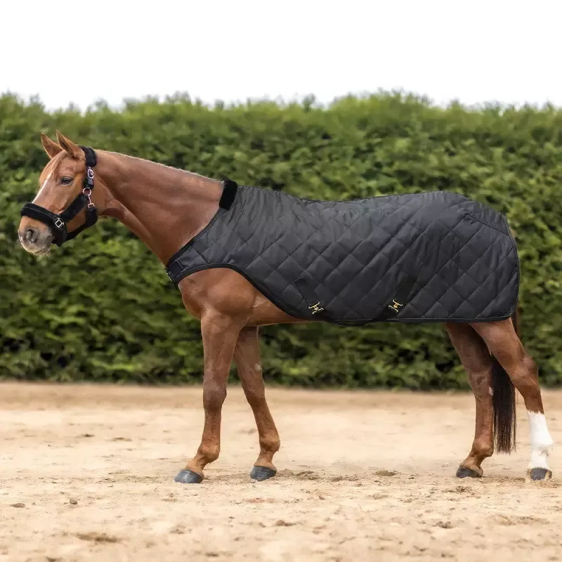 Prix Bas Chemise marcheur cheval Exclusive 50g Waldhausen - 125 cm - Noir