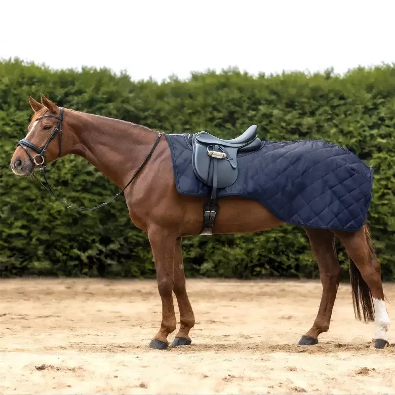 Promotion Saisonnire Couvre-reins cheval Exclusive 50g Waldhausen - Cheval - Noir