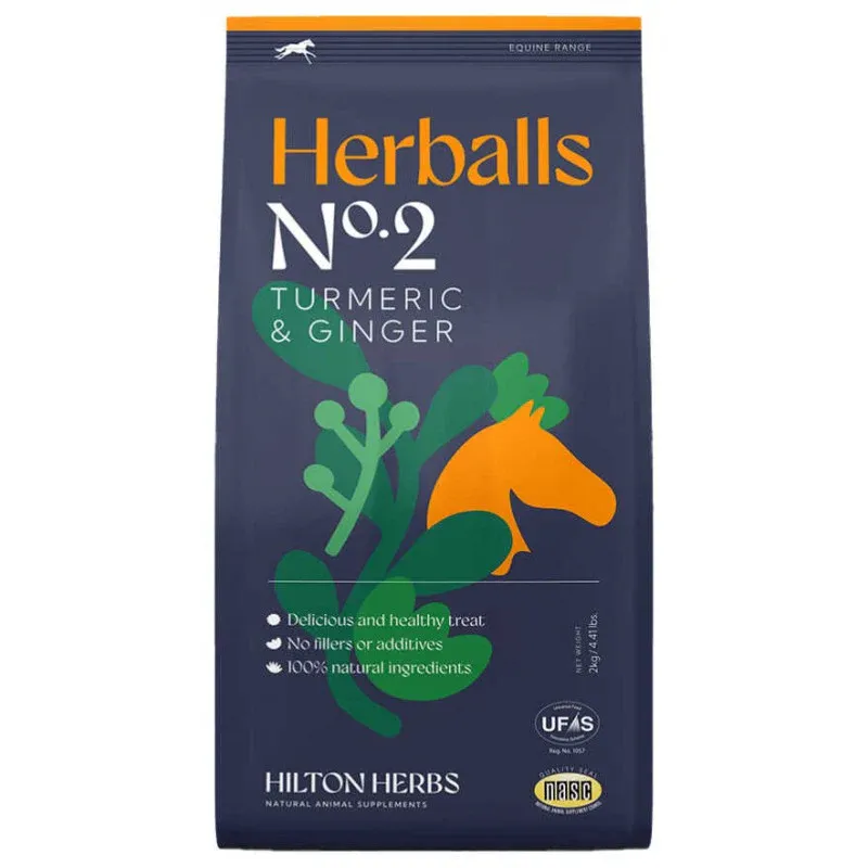 Herballs HILTON HERBS Crcuma & Jengibre (2kg) Authentique