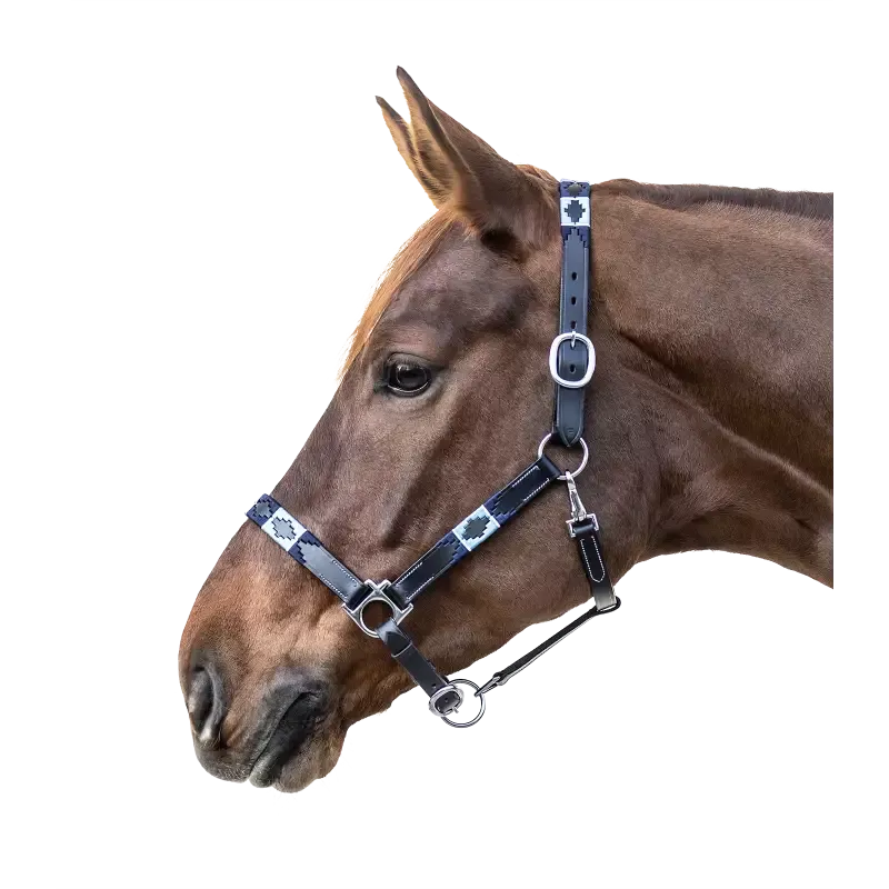 Acheter En Ligne Licol cheval Polo Waldhausen cuir – Poney – Noir