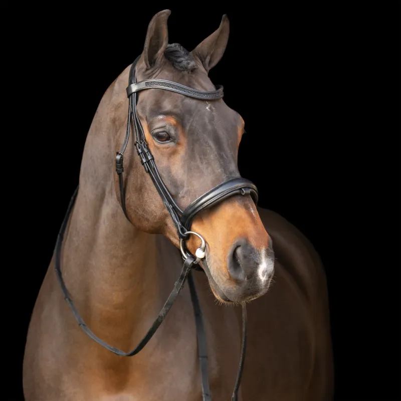 Prix Rduit Bridon avec muserolle Englaise Imperial Riding - Cob - Noir / noir