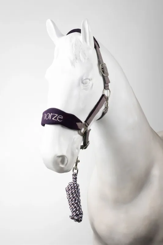 Licol et longe Horze Magic - Shetland - Violet silex Offre Exclusive
