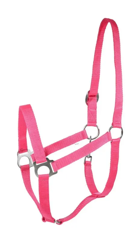 Livraison Gratuite Licol Basic Horze - Shetland - Framboise
