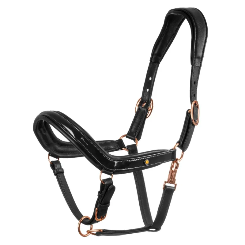 Licol en cuir lisse Equestro boucles rose gold - Poney - Noir Expdi Aujourdhui