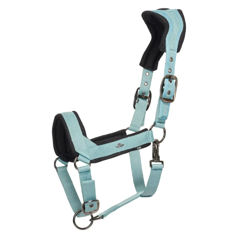 Acheter En Ligne Licol HV Polo Esther - Cob - Aqua sky