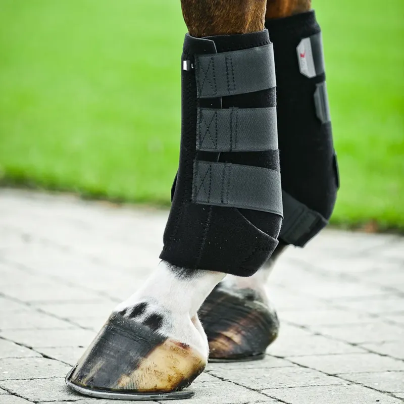 Commande En Gros Protge tendons ProSoft Horze – L – Noir