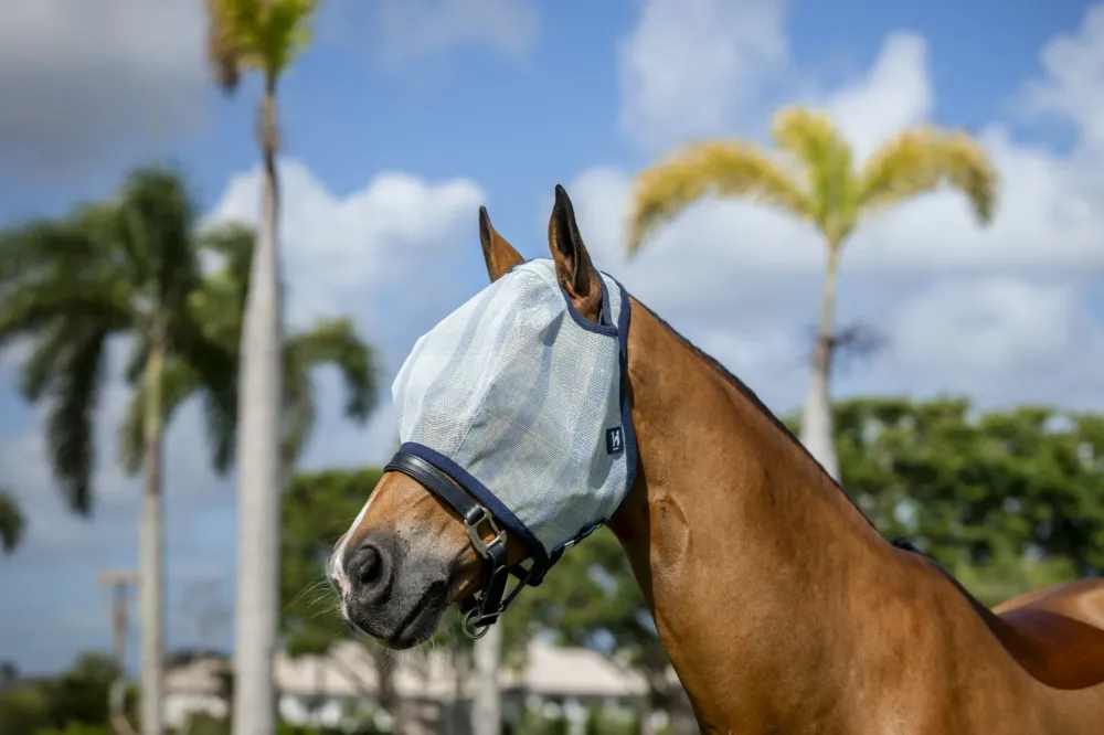 Masques anti-mouches Horseware Newmarket sans oreilles - Cob - Marine witney Achetez Aujourdhui