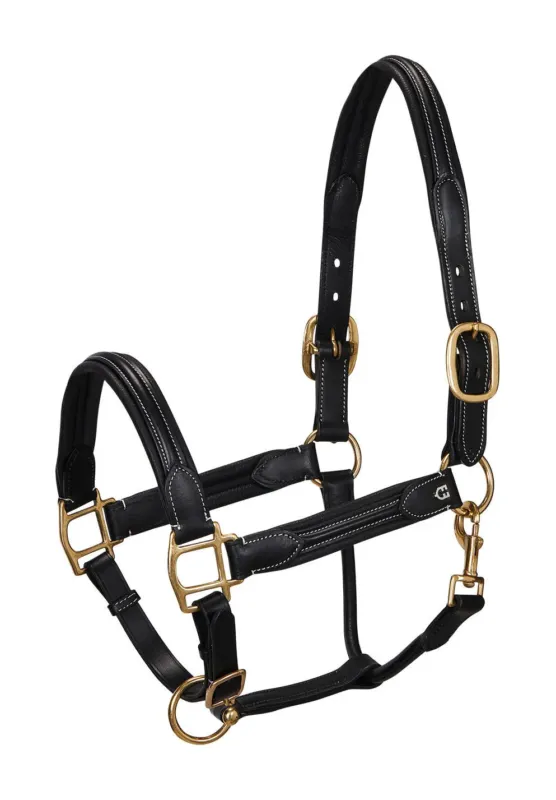 Commander Maintenant Licol en cuir suprieur Equestro – Cob – Noir