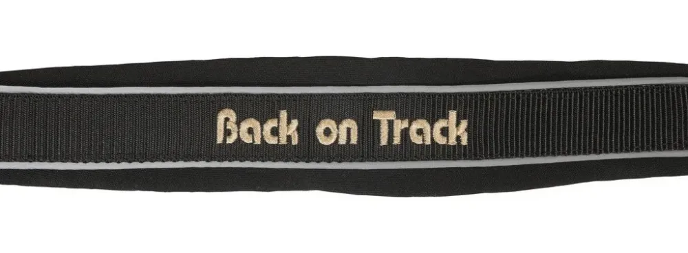 Commander Maintenant Licol Back on Track Werano Rflchissant - Cheval - Noir rflchissant