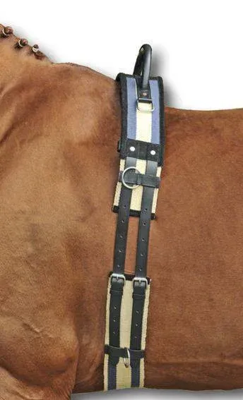 Commander Vite Surfaix avec poigne HKM - Poney - Bleu fonc / beige