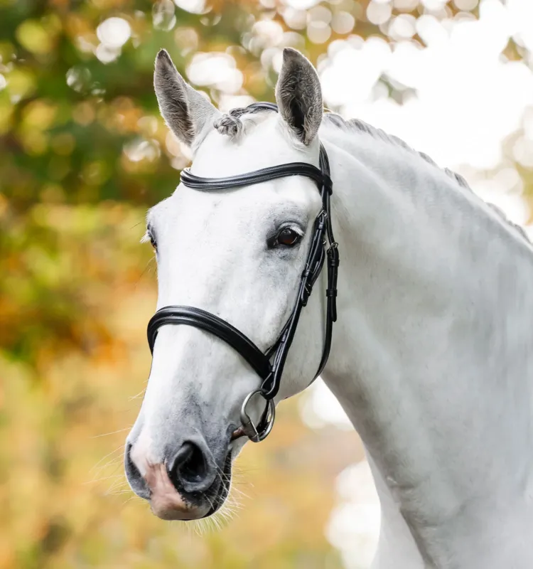 Prix Rduit Bridon Horseware Cavesson - Grand cheval - Noir