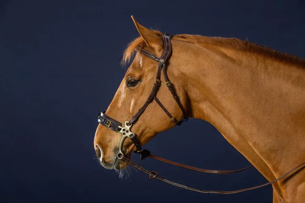 Bon March Bridon Hackamore D Collection by Dy&rsquo;on – Poney – Brun