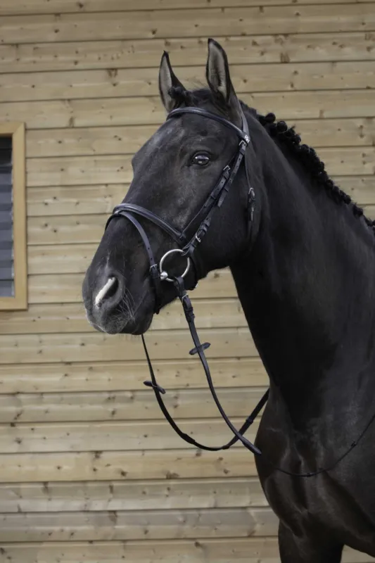 Bridon Riding World Muserolle combine - Pur-sang - Noir Paiement Scuris