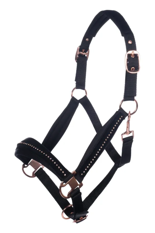 Licol HKM Berry - Cheval - Noir / or rose Haute Qualit