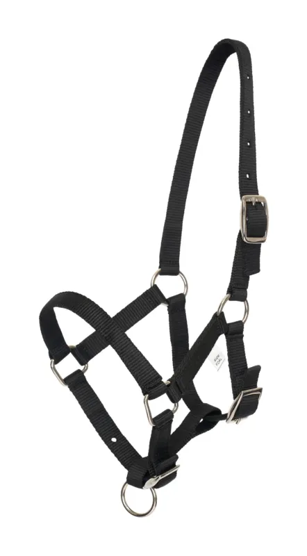 Satisfait Ou Rembours Licol foal HV Polo Nena – Mini shetland – Noir