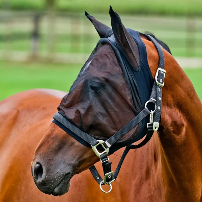 Expdi Aujourdhui Masque anti-mouches Horze - Cheval - Noir