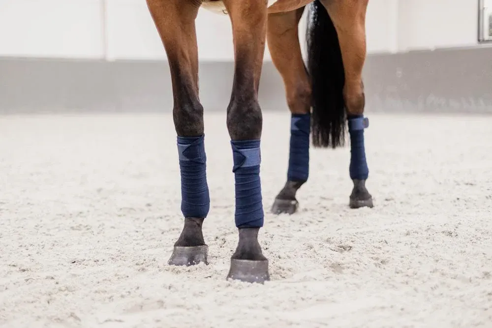 Remise Bandes de polo Polar Fleece Glitter Kentucky - Marine