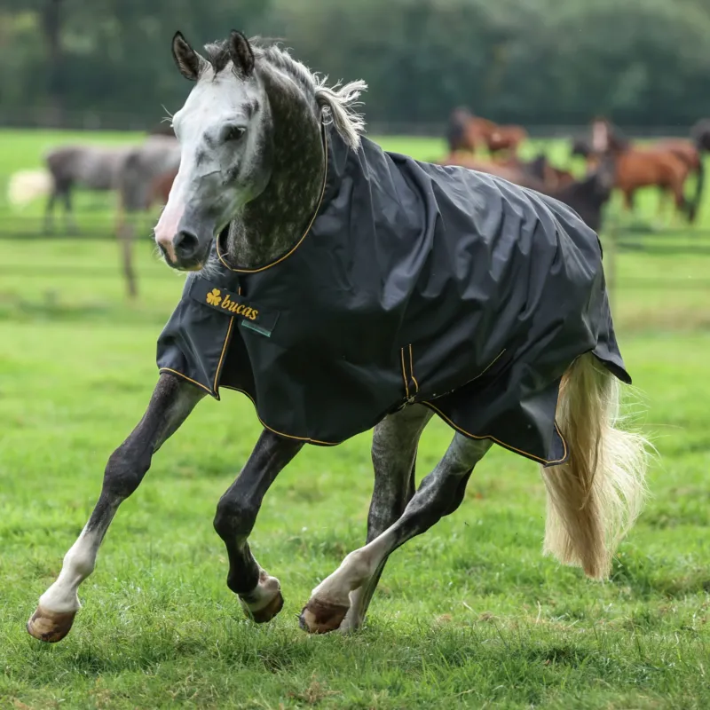 Couverture Bucas Irish Turnout High Neck Light 50g 1200D - 155 cm - Noir / dor Bon March