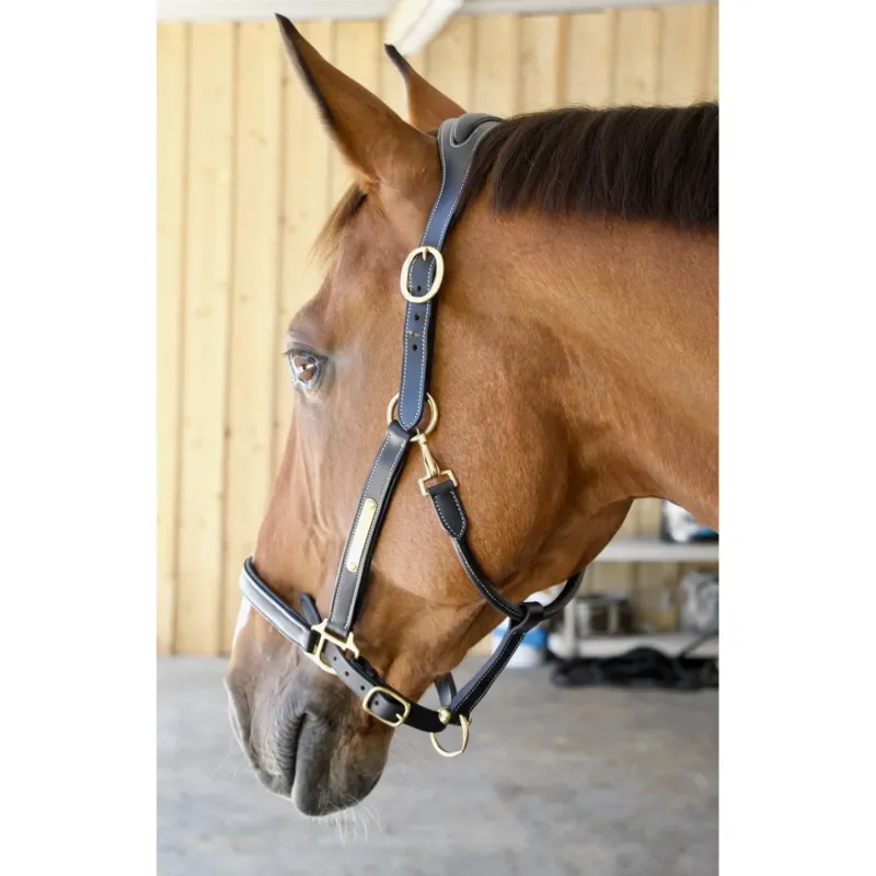 Licol Cuir Avec Plaque Tetiere Anatomique T de T - Poney - Noir Satisfait Ou Rembours
