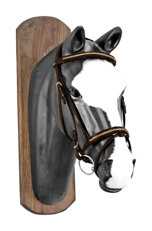 Filet Derby avec clou dor et rnes en caoutchouc – Poney – Marron fonc Vente Directe