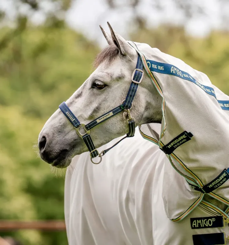 Livraison Express Licol Spcial Pturage Horseware Fieldsafe - Poney - Marine