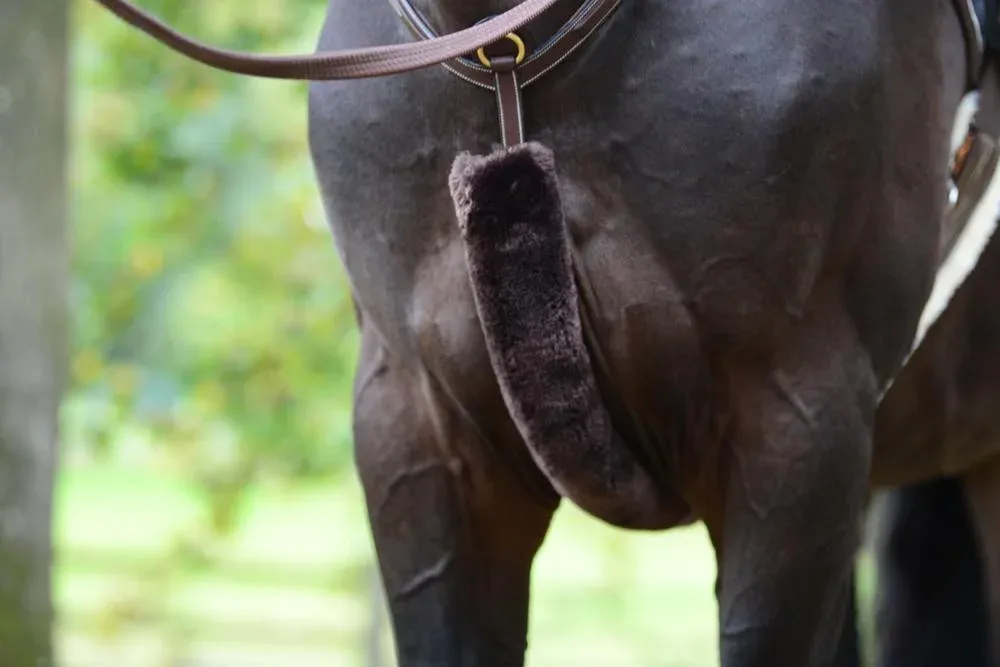 Seulement Aujourdhui Fourreau de collier de chasse en mouton Kentucky - Marron