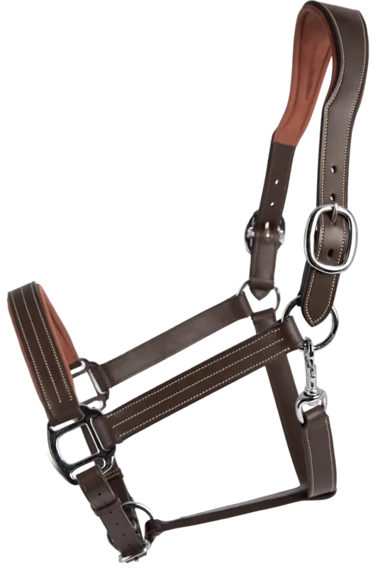 Paiement Scuris Licol cuir Signature by Antares anatomique - Cheval - Marron