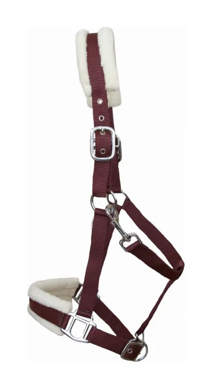 Licol mouton T de T synthtique - Cheval - Bordeaux / naturel Prix Bas