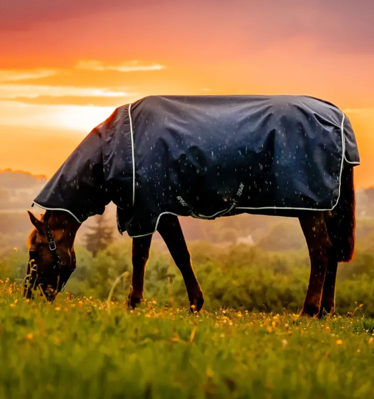 Top Vente Couverture Horseware Amigo Ripstop 900D Plus Poney Turnout 200g – 115 cm – Marine witney