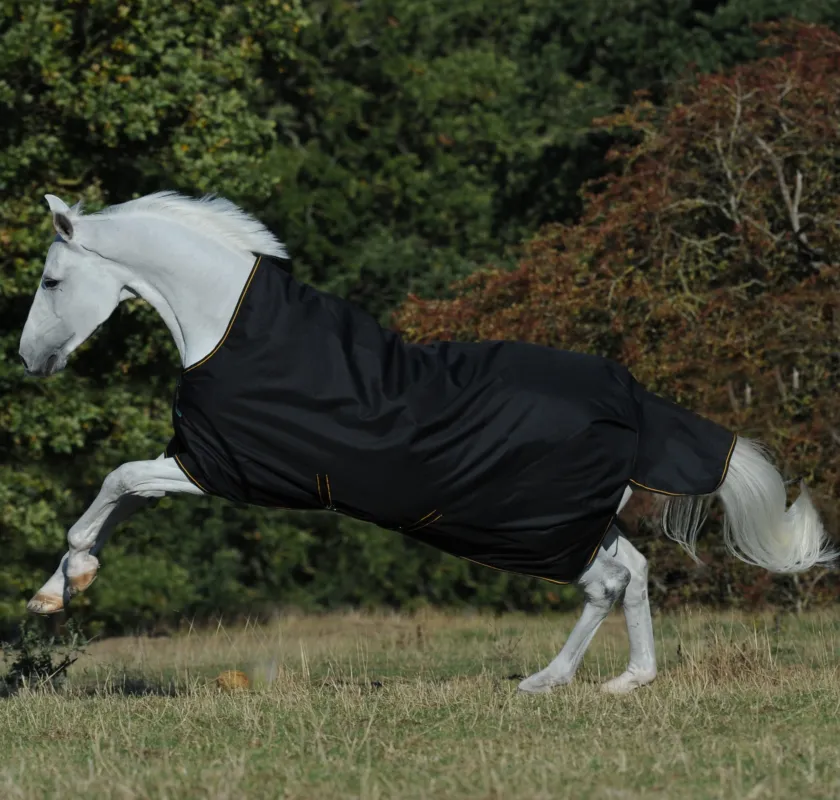 Couverture Bucas Irish Turnout High Neck Extra 300g 1200D - 165 cm - Noir / dor Commande En Gros