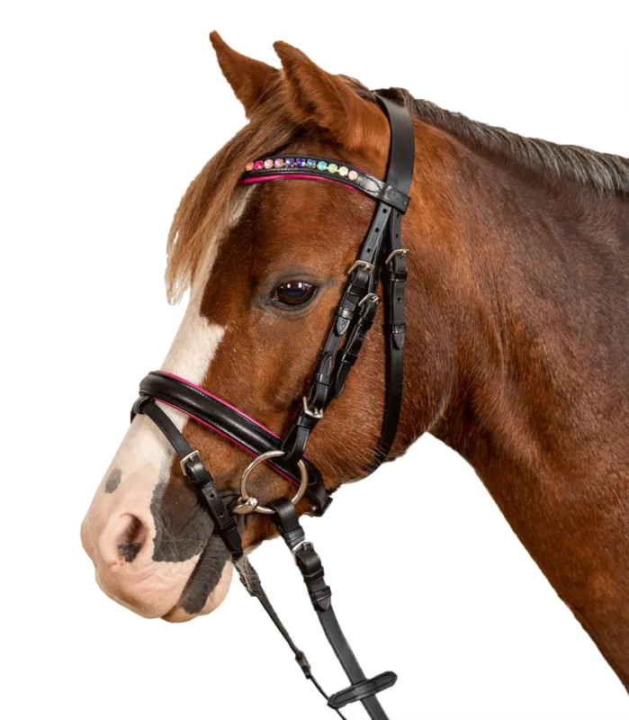 Satisfait Ou Rembours Bridon Star Pinky – Poney – Noir