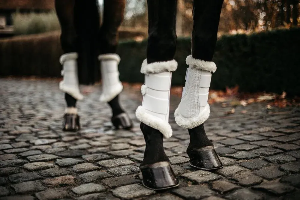 Gutres fermes Air Kentucky - L - Blanc Expdi Aujourdhui