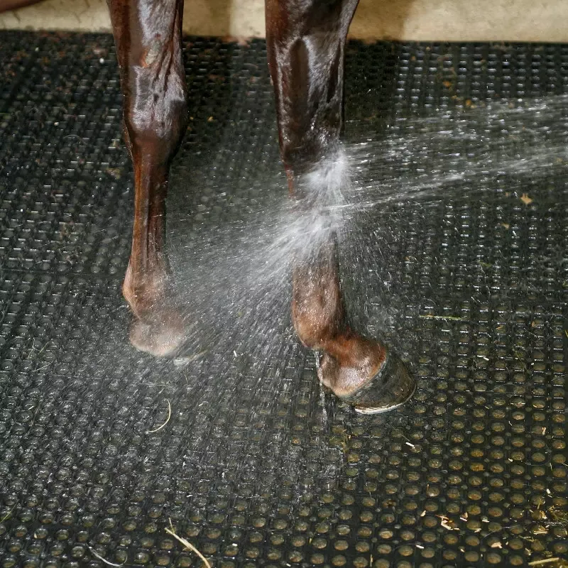 Caillebotis M25 en caoutchouc pour douche d&rsquo;curie cheval IDS Livraison Gratuite