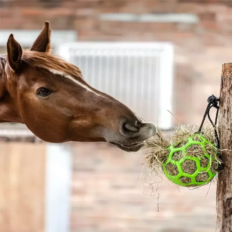 Soldes Balle foin cheval balle de jeu Waldhausen - Vert
