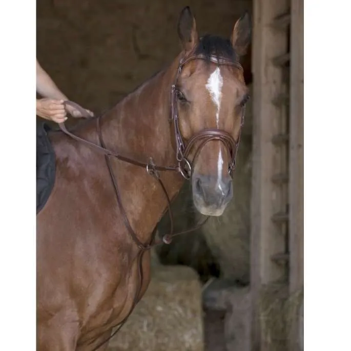 Acheter Direct Martingale anneaux - Norton Pro - havane - poney (pony )