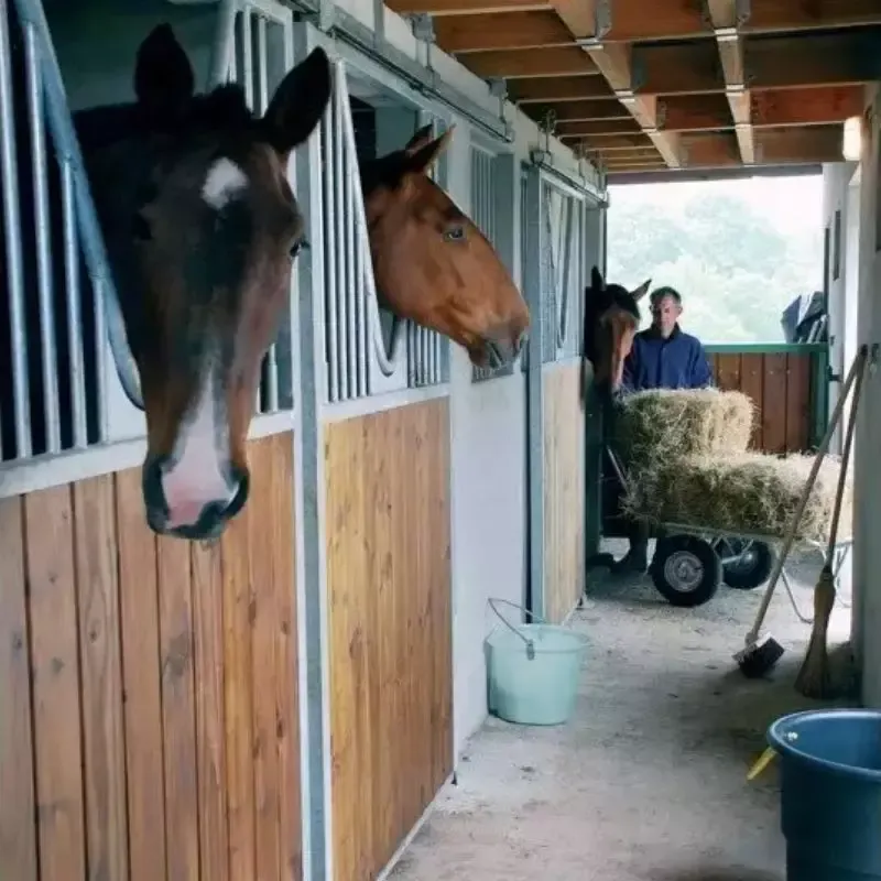 Nouveaut Porte de box cheval coulissante Pin du Nord La Ge